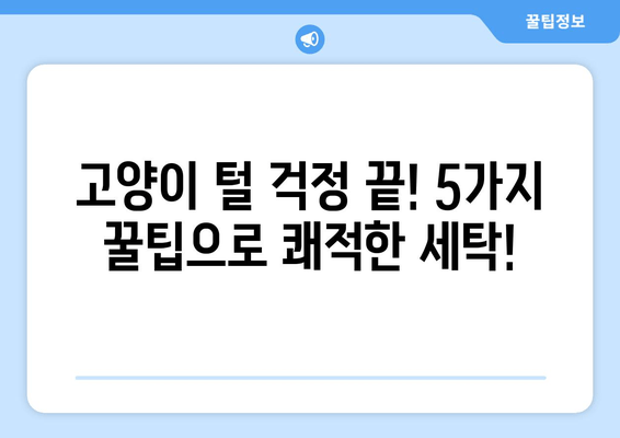 고양이와 빨래| 사랑스러운 유대감의 이야기 | 털 날림 없는 행복한 세탁 꿀팁 5가지