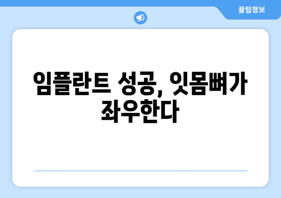 임플란트 성공의 열쇠, 잇몸뼈 충분화의 중요성 | 임플란트 수술, 잇몸뼈 이식, 성공률 높이는 팁