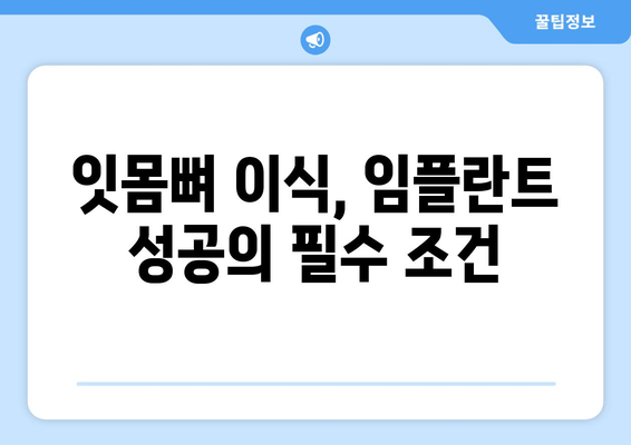 임플란트 성공의 열쇠, 잇몸뼈 충분화의 중요성 | 임플란트 수술, 잇몸뼈 이식, 성공률 높이는 팁