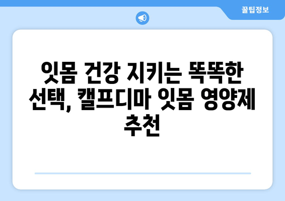 잇몸 건강 지키는 힘! 캘프디마 성분 잇몸 영양제 추천 | 잇몸 건강, 잇몸 영양제, 캘프디마, 추천