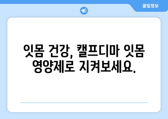 잇몸 건강 지키는 힘! 캘프디마 성분 잇몸 영양제 추천 | 잇몸 건강, 잇몸 영양제, 캘프디마, 추천