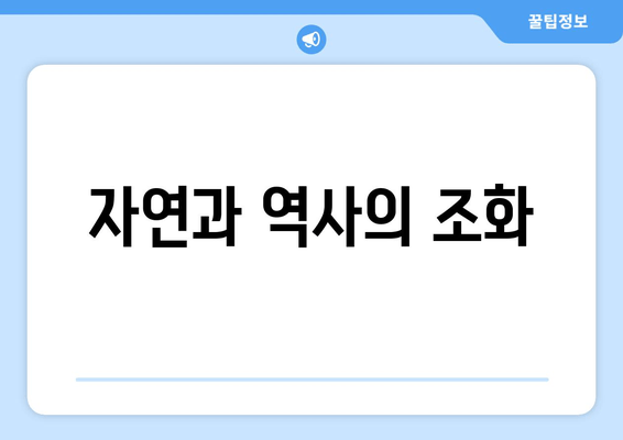 자연과 역사의 조화