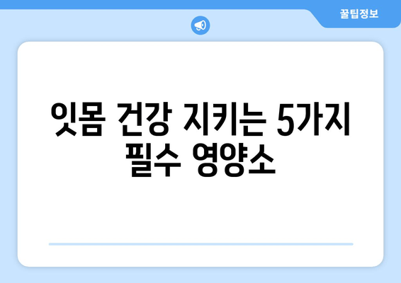 잇몸 내려앉음 예방, 꼭 필요한 영양제 5가지 | 잇몸 건강, 영양 보충, 치주 질환 예방