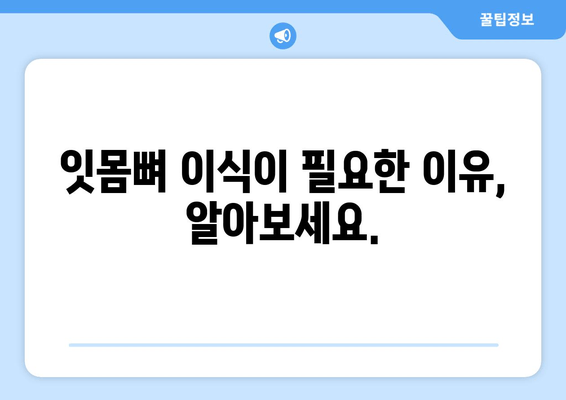 잇몸뼈 이식, 나에게 맞는 방법은? | 상태별 맞춤 치료 가이드