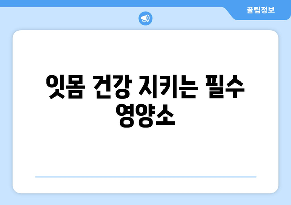 잇몸 건강 지키는 필수 영양제| 튼튼한 치아를 위한 선택 가이드 | 잇몸 건강, 영양제 추천, 치주 질환 예방