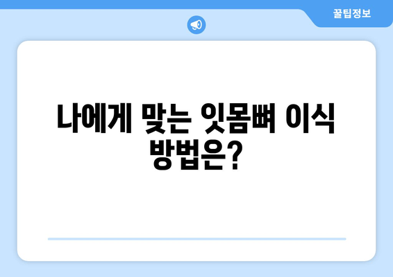 잇몸 뼈 이식 수술, 치조골 상태에 맞는 최적의 방법 찾기 | 치조골 이식, 잇몸뼈 재건, 임플란트 수술, 맞춤형 치료