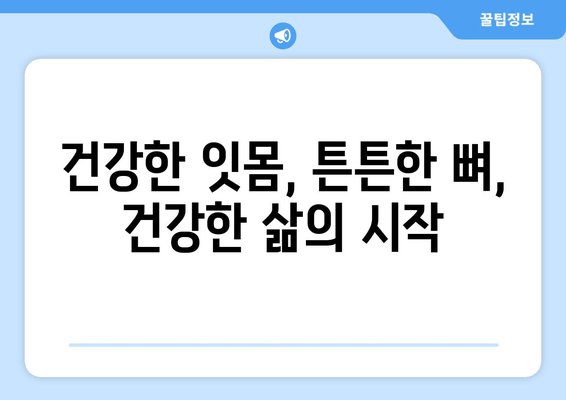 잇몸 뼈 건강 지키는 비밀| 영양제와 식단 관리의 완벽 가이드 | 잇몸 건강, 뼈 건강, 영양, 식단, 건강 관리, 치주 질환 예방