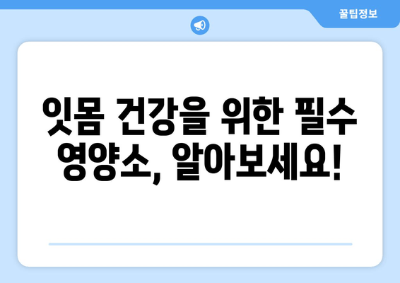 잇몸염증 치료 영양제| 뛰어난 성분으로 건강한 잇몸 되찾기 | 잇몸염증, 영양제 추천, 잇몸 건강