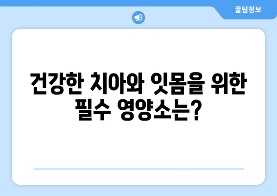 치아 잇몸 건강 지키는 영양제 완벽 가이드 | 치아 건강, 잇몸 건강, 영양제 추천, 효과적인 영양소