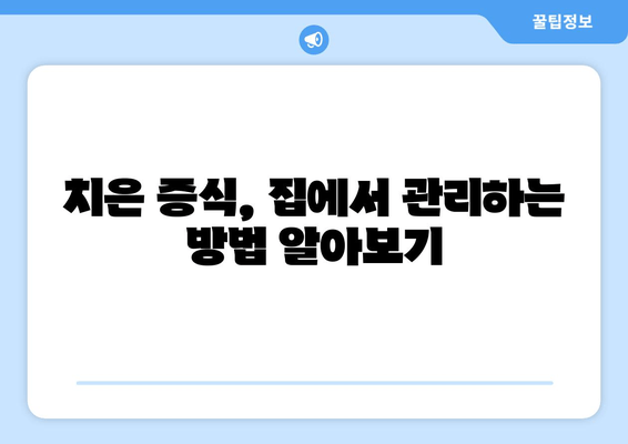 홈 케어로 치은 증식 관리하기| 잇몸 건강 개선을 위한 실질적인 팁 | 치은 증식, 잇몸 관리, 홈 케어, 치주 질환 예방