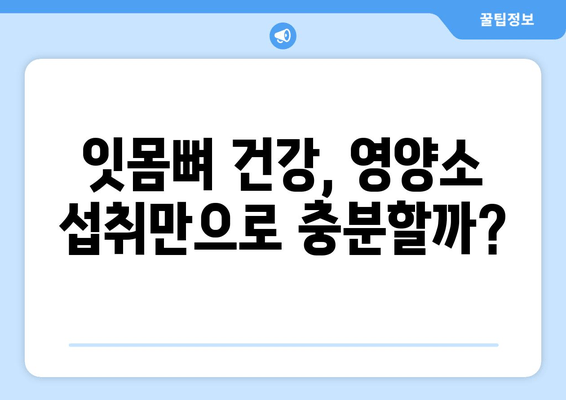 잇몸뼈 건강을 위한 필수 영양소| 치아 건강 지키는 영양제 가이드 | 잇몸뼈 영양제, 치아 건강, 영양소, 건강 정보