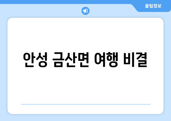 안성 금산면 여행 비결