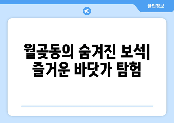 월곶동의 숨겨진 보석| 즐거운 바닷가 탐험