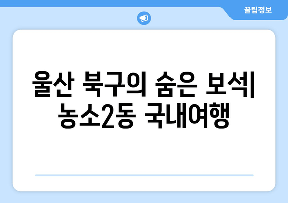 울산 북구의 숨은 보석| 농소2동 국내여행