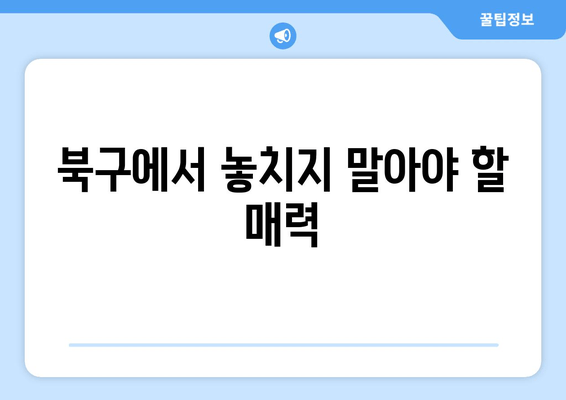 북구에서 놓치지 말아야 할 매력