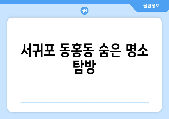 서귀포 동홍동 숨은 명소 탐방