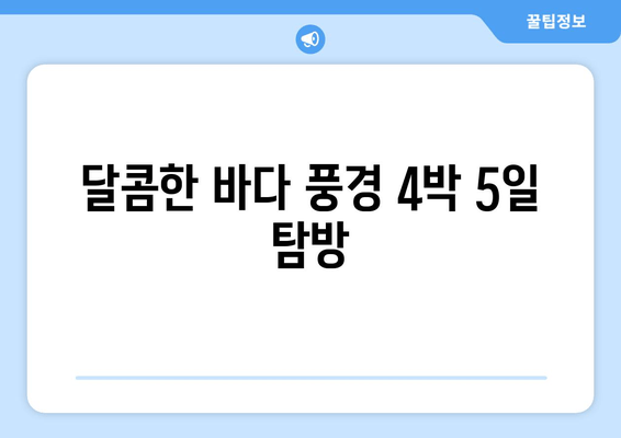 달콤한 바다 풍경 4박 5일 탐방