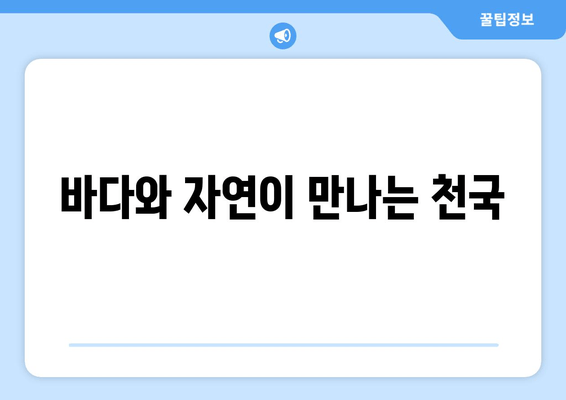 바다와 자연이 만나는 천국