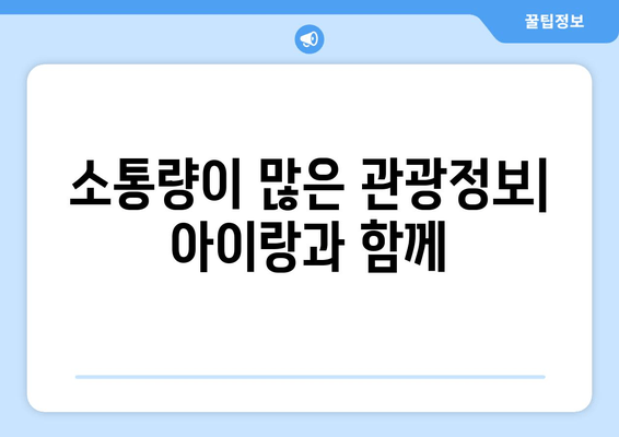 소통량이 많은 관광정보| 아이랑과 함께