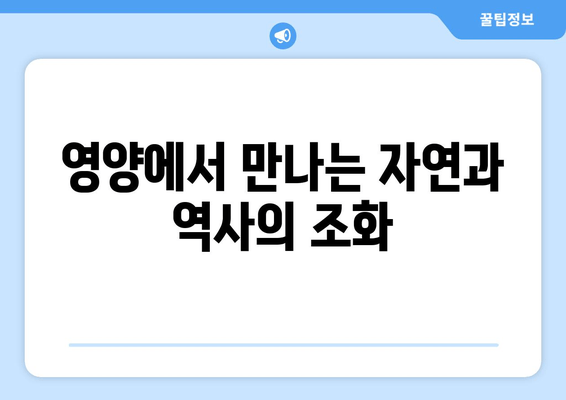 영양에서 만나는 자연과 역사의 조화