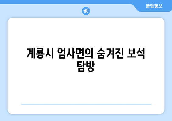 계룡시 엄사면의 숨겨진 보석 탐방