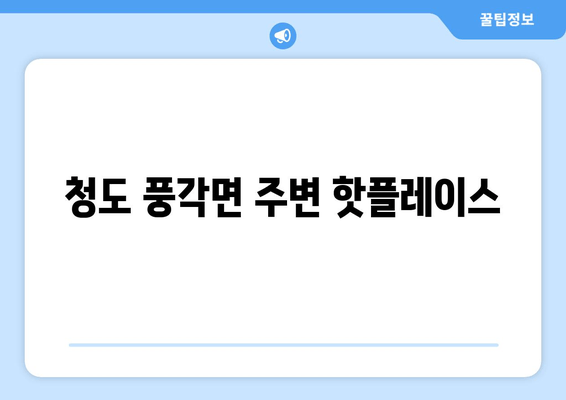 청도 풍각면 주변 핫플레이스