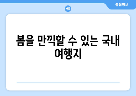 봄을 만끽할 수 있는 국내 여행지