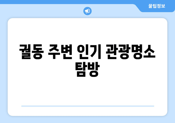 궐동 주변 인기 관광명소 탐방