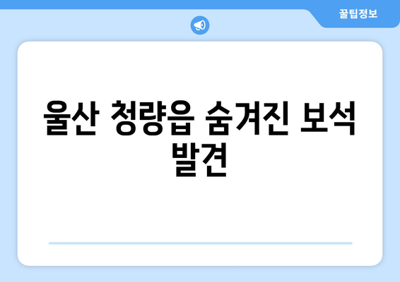 울산 청량읍 숨겨진 보석 발견