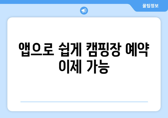 앱으로 쉽게 캠핑장 예약 이제 가능