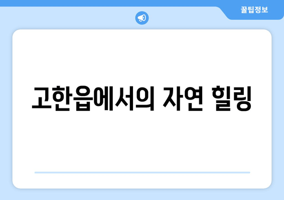 고한읍에서의 자연 힐링