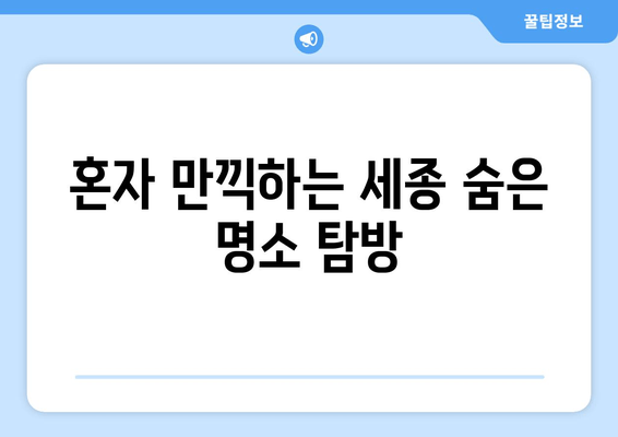 혼자 만끽하는 세종 숨은 명소 탐방