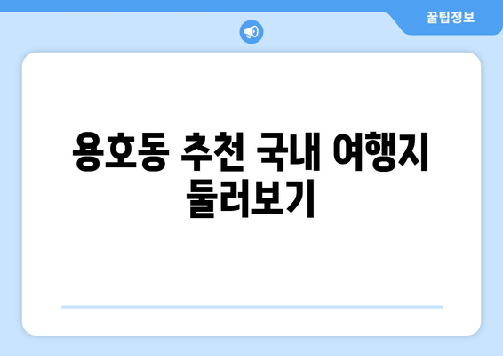 용호동 추천 국내 여행지 둘러보기