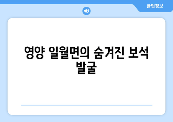 영양 일월면의 숨겨진 보석 발굴