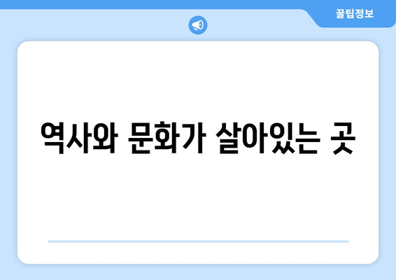 역사와 문화가 살아있는 곳