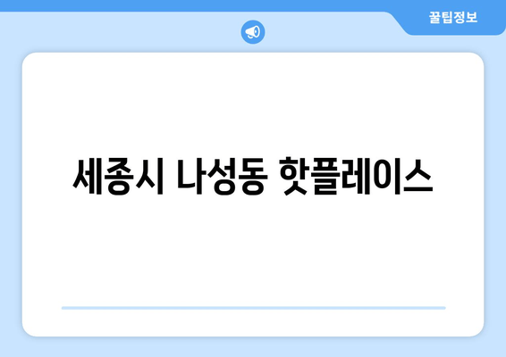 세종시 나성동 핫플레이스