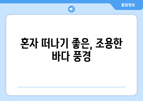 혼자 떠나기 좋은, 조용한 바다 풍경