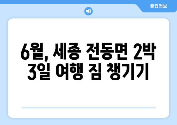 6월, 세종 전동면 2박 3일 여행 짐 챙기기