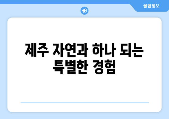 제주도 에코 여행의 완벽한 선택! 제주 에코그린 리조트| 자연 친화적인 숙박 경험 | 제주도, 친환경 숙소, 에코 여행, 지속가능한 여행