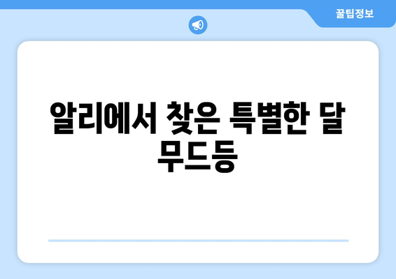 달 유리구슬 무드등, 알리에서 득템하는 꿀팁 | 저렴하고 예쁜 달 무드등 쇼핑 가이드