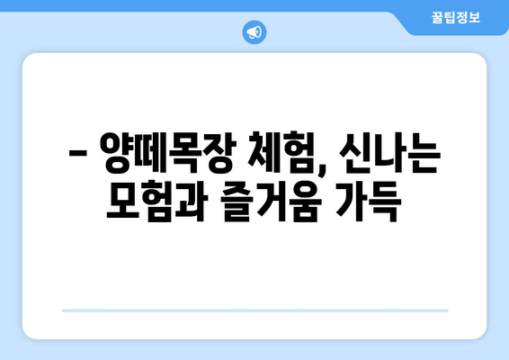 대관령 양떼목장, 자연과 평화 속에서 힐링을 경험하세요 | 강원도 여행, 가족 나들이, 양떼목장 체험