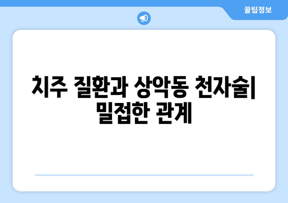 치은 각질화와 상악동 천자술의 연관성| 임상적 의미와 고려 사항 | 치주 질환, 상악동, 부비동염, 치과 수술