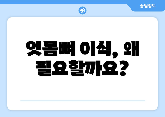 잇몸 뼈 이식 수술, 치조골 상태에 맞는 최적의 방법 찾기 | 잇몸뼈 이식, 치조골 흡수, 임플란트