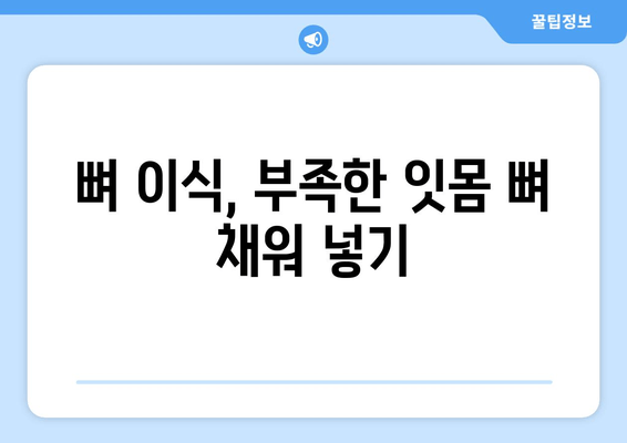 임플란트 뼈 이식 성공의 시작| 잇몸 뼈 상태 정확한 평가의 중요성 | 임플란트, 뼈 이식, 잇몸 뼈 검사, 성공률