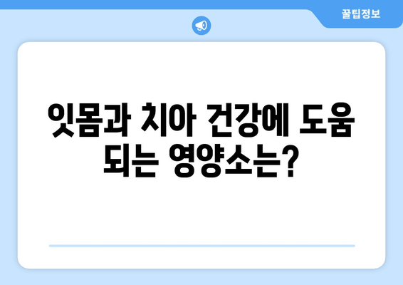 잇몸과 치아 건강 지키는 영양제 가이드 | 잇몸 건강, 치아 건강, 영양제 추천, 건강 정보