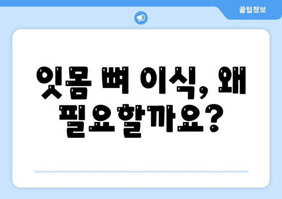 잇몸 뼈 이식 비용| 충분한 잇몸 뼈를 위한 필수 수술 | 잇몸 이식 가격, 잇몸 뼈 이식 과정, 잇몸 뼈 이식 후 관리