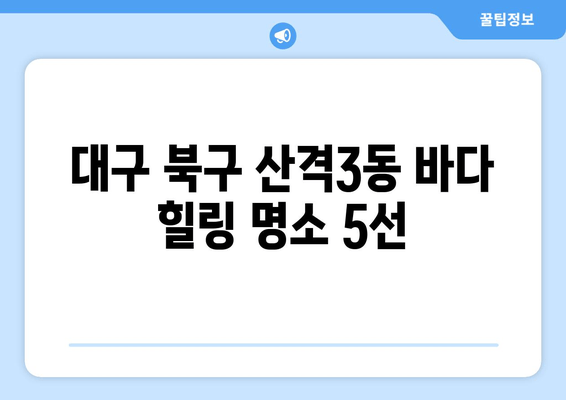 대구 북구 산격3동 바다 힐링 명소 5선