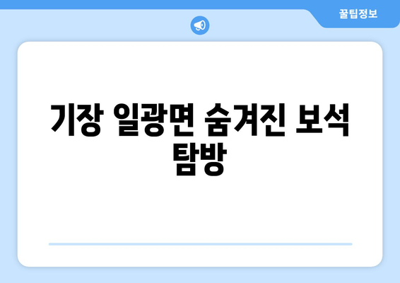 기장 일광면 숨겨진 보석 탐방