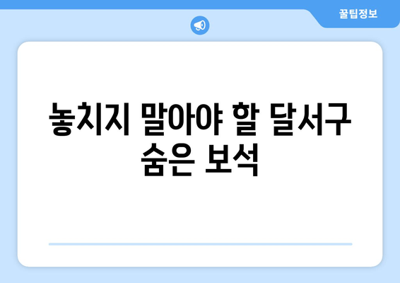 놓치지 말아야 할 달서구 숨은 보석