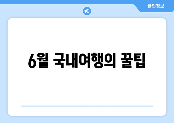 6월 국내여행의 꿀팁